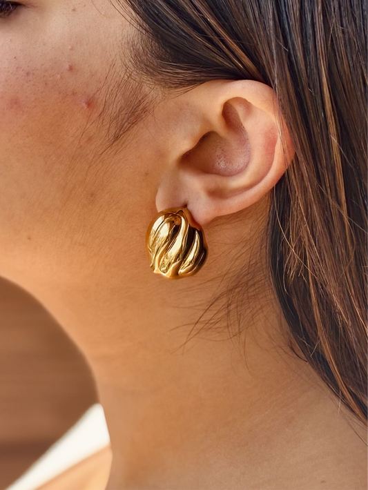 Shell Earrings